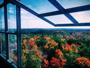 View from the Fire Tower at the Forest History Center in Grand Rapids, Minnesota. Photo by Joe Huber15.