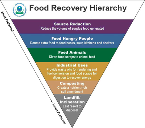 At work with the sustainability network: Food Recovery Network at Macalester