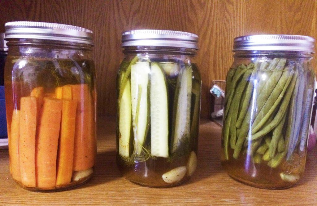 Pickled carrots, cucumbers and green beans from Gallandt, Fried and Jones’ first batch. Photo by Nora Fried ’22. 