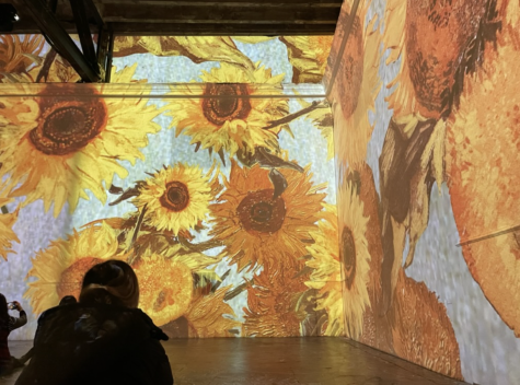 Van Gogh immersive experience. Photo taken by Molly Friedrichs ’26.
