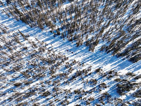 A drone shot over the route. Photo courtesy of Alan Chapman. 