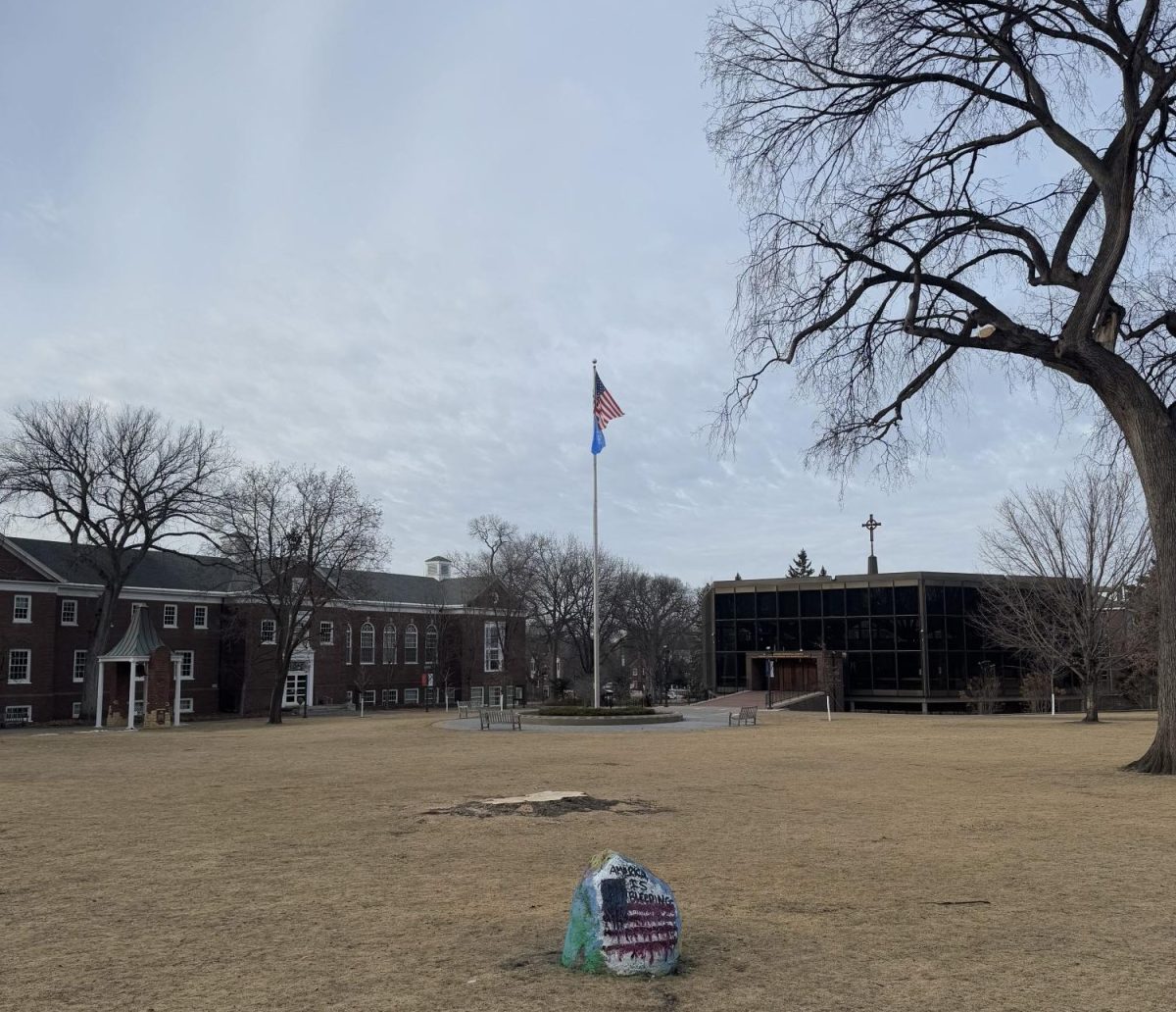 The Great Lawn after the removal of a tree.