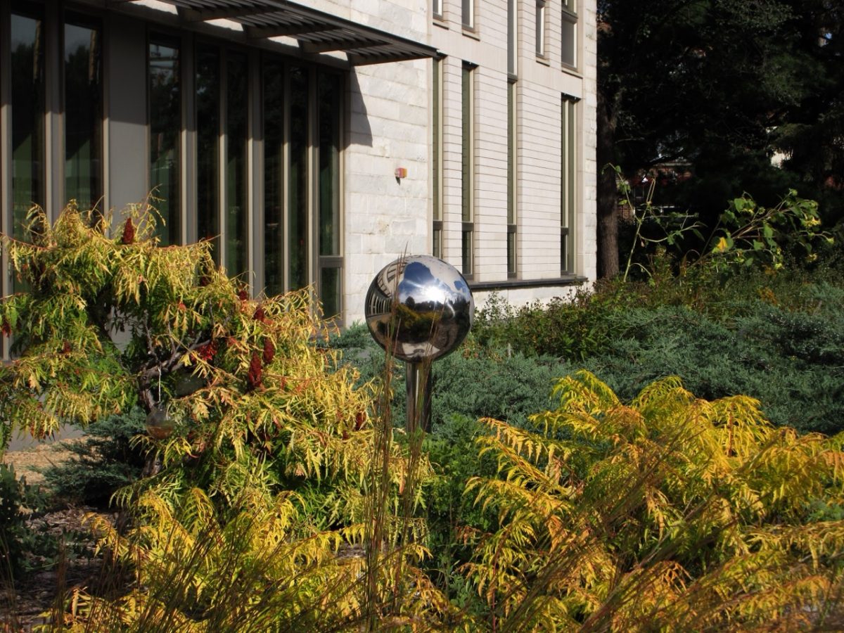 Plants outside Markim Hall. 
